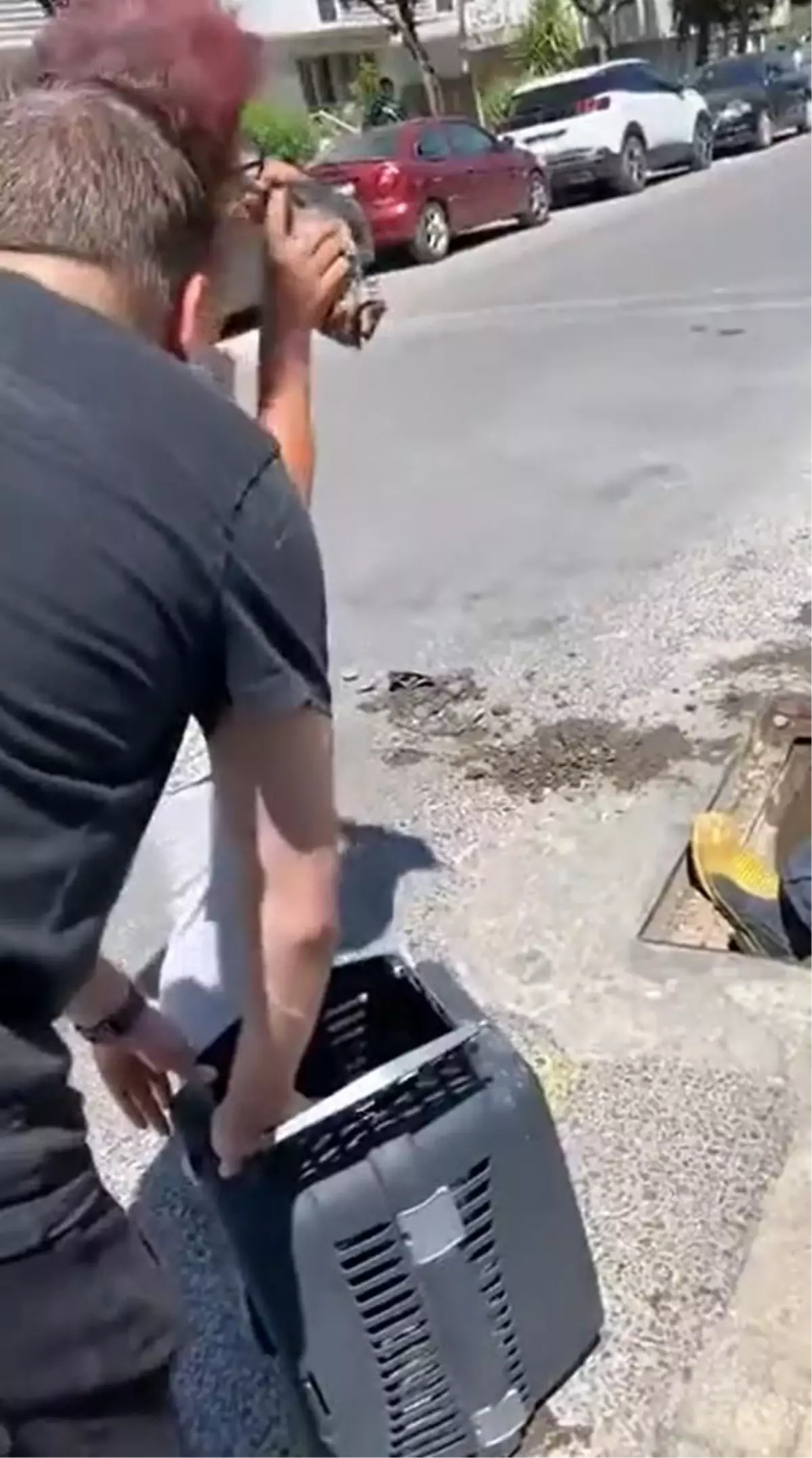 Yalova\'da Anne Kedi ve Yavruları İtfaiye Ekipleri Tarafından Kurtarıldı