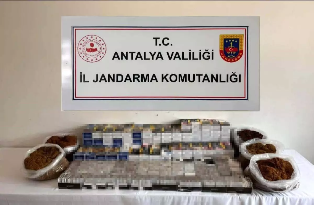 Alanya\'da Kaçakçılık Operasyonu