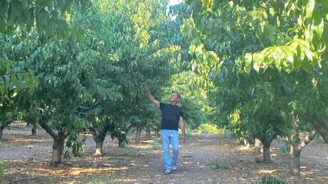 Bursa'yı kül eden alevler bir tek oraya ulaşamadı! Nedeni herkese ders olacak cinsten