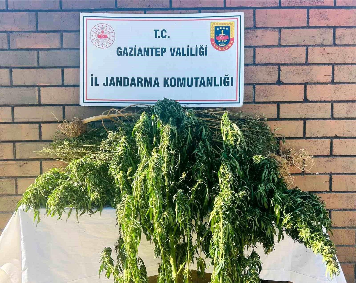 Gaziantep\'te Uyuşturucu Operasyonu