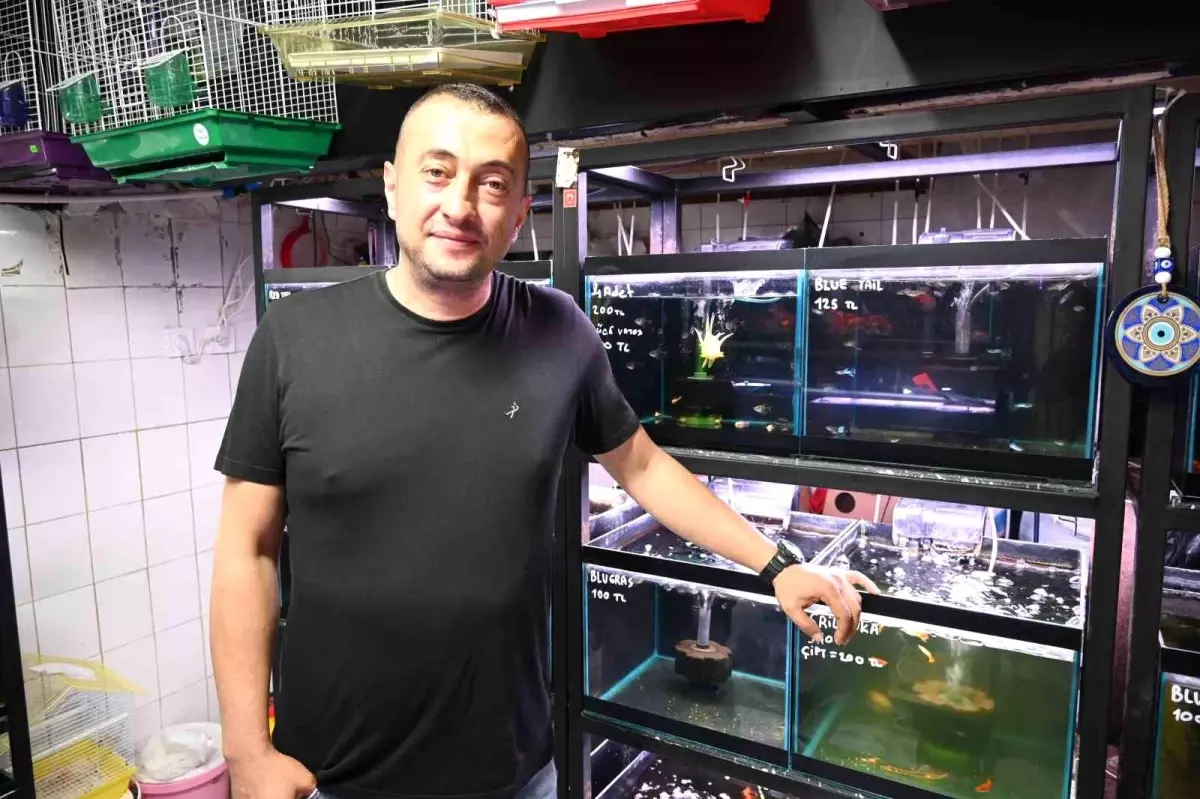 Esnafın Yaz Tavsiyeleri