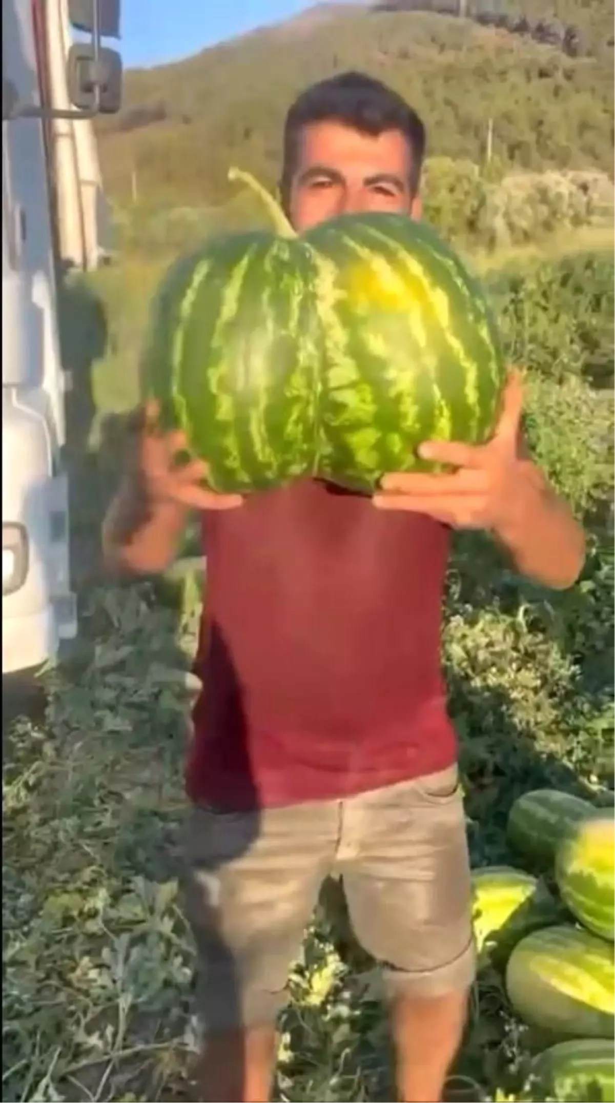 Bilecik\'te İkiz Kavun ve Karpuz Şaşırttı