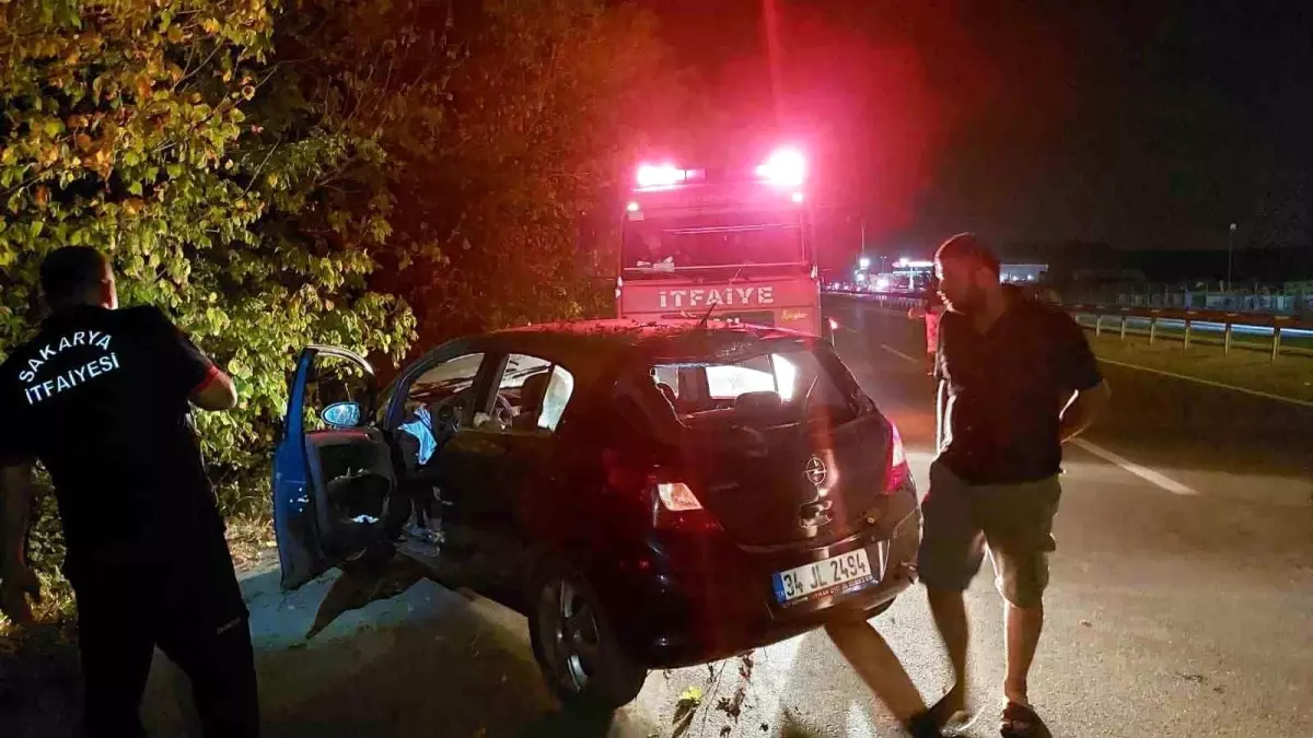 Sakarya\'da Otomobil Şarampole Devrildi