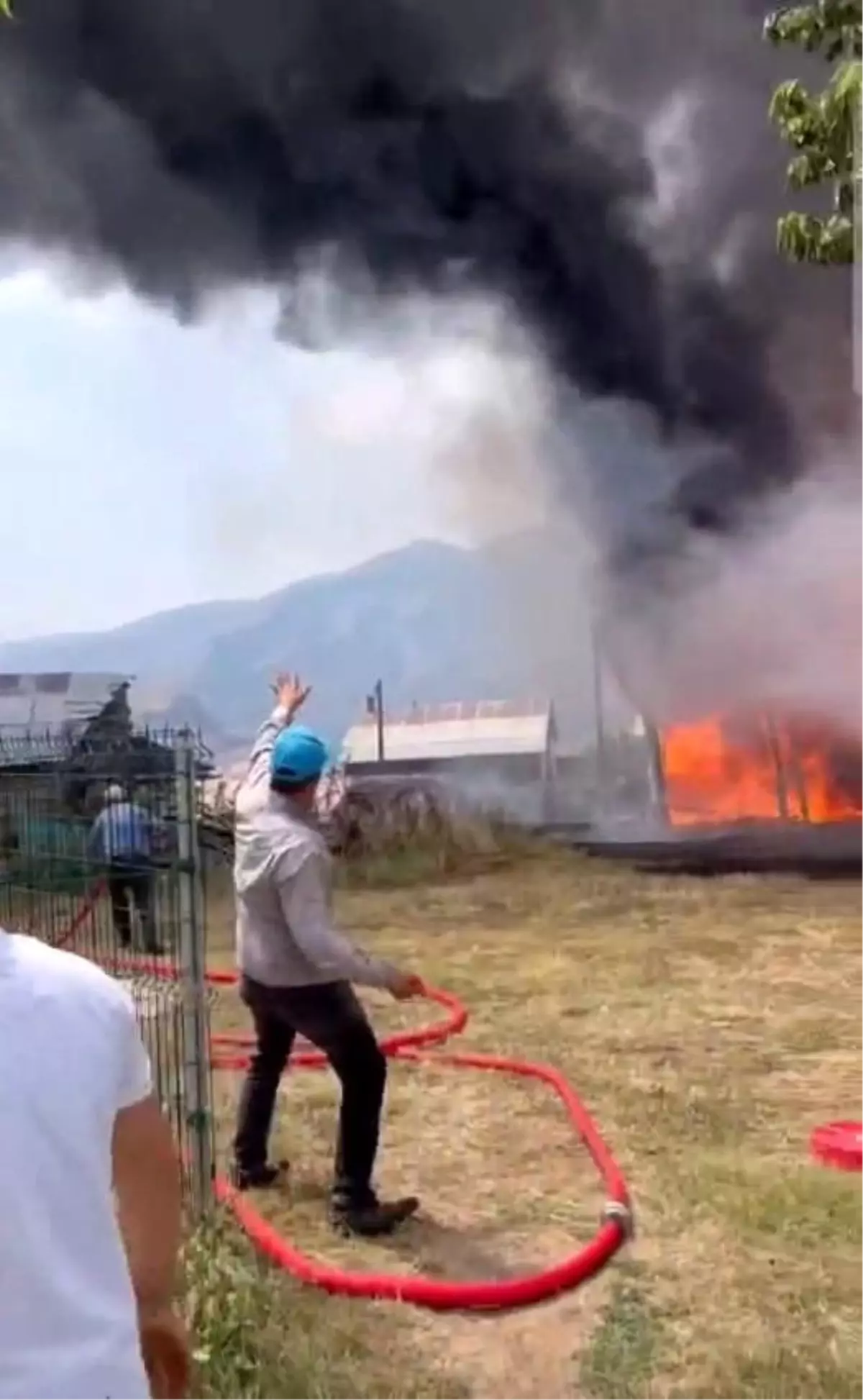 Erzurum İspir\'de Ormanlık Alanda Yangın Çıktı
