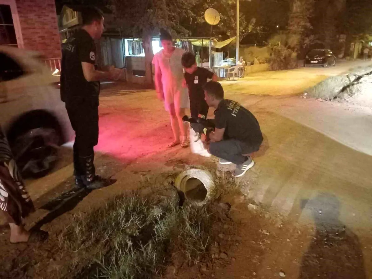 Kanalizasyona Sıkışan Yavru Köpek İtfaiye Ekiplerince Kurtarıldı
