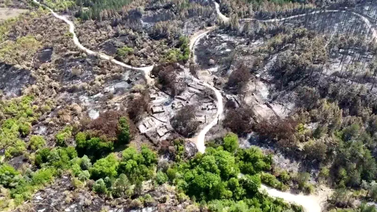 Karabük\'te Orman Yangını: 24 Ev Yok Oldu