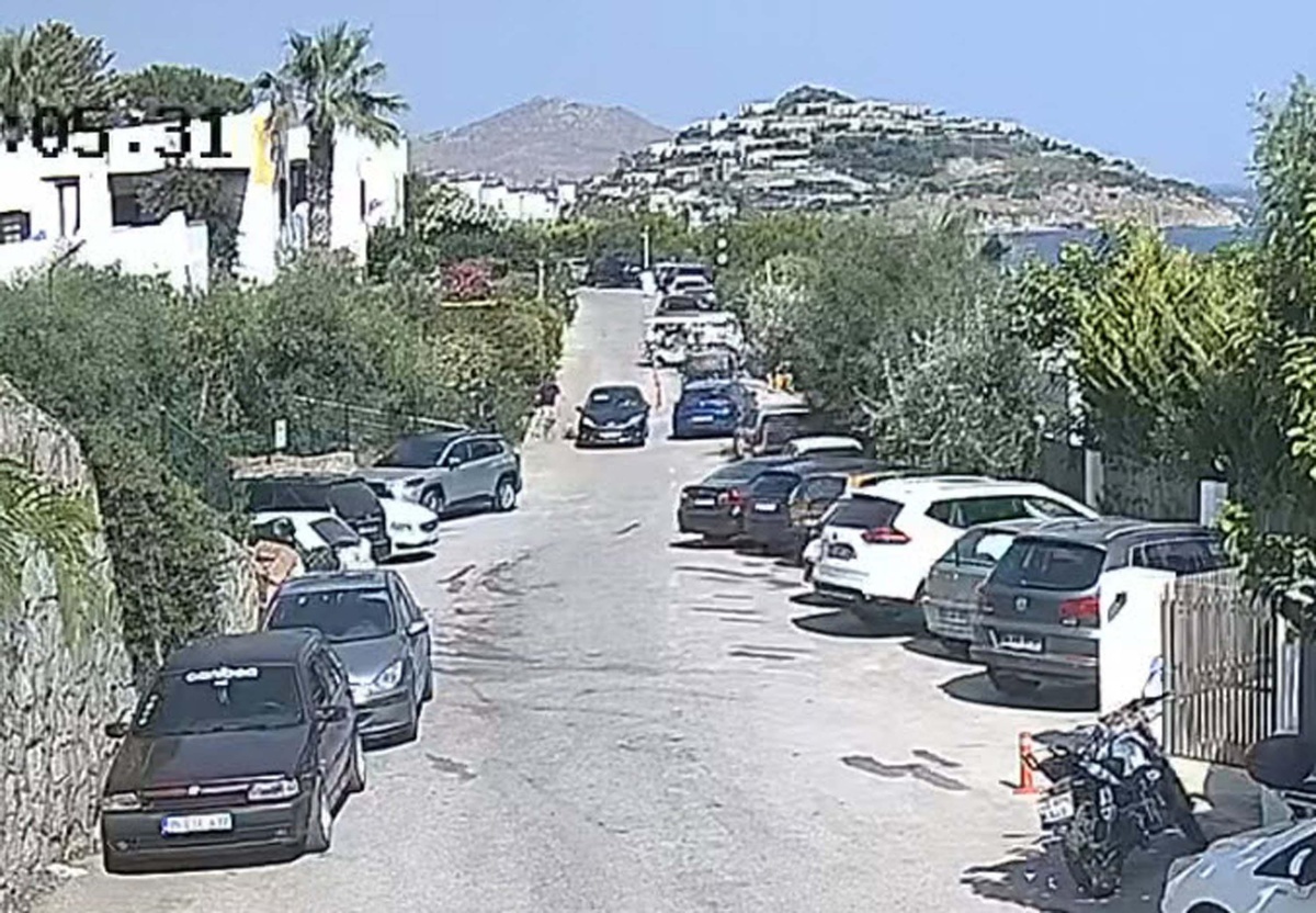 Bodrum\'da Köpeğe Çarpan Sürücü Kaçtı