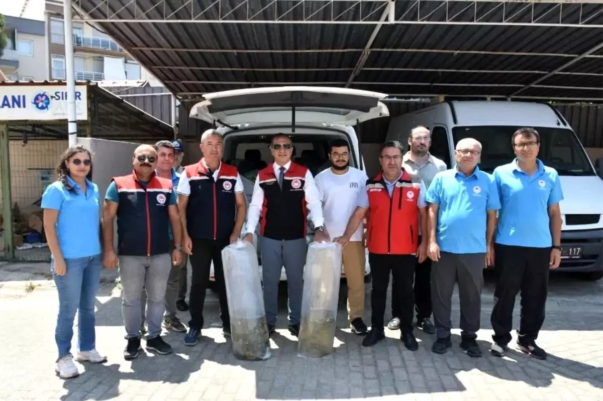 Aydın\'da Su Kaynakları Balıklandırılıyor
