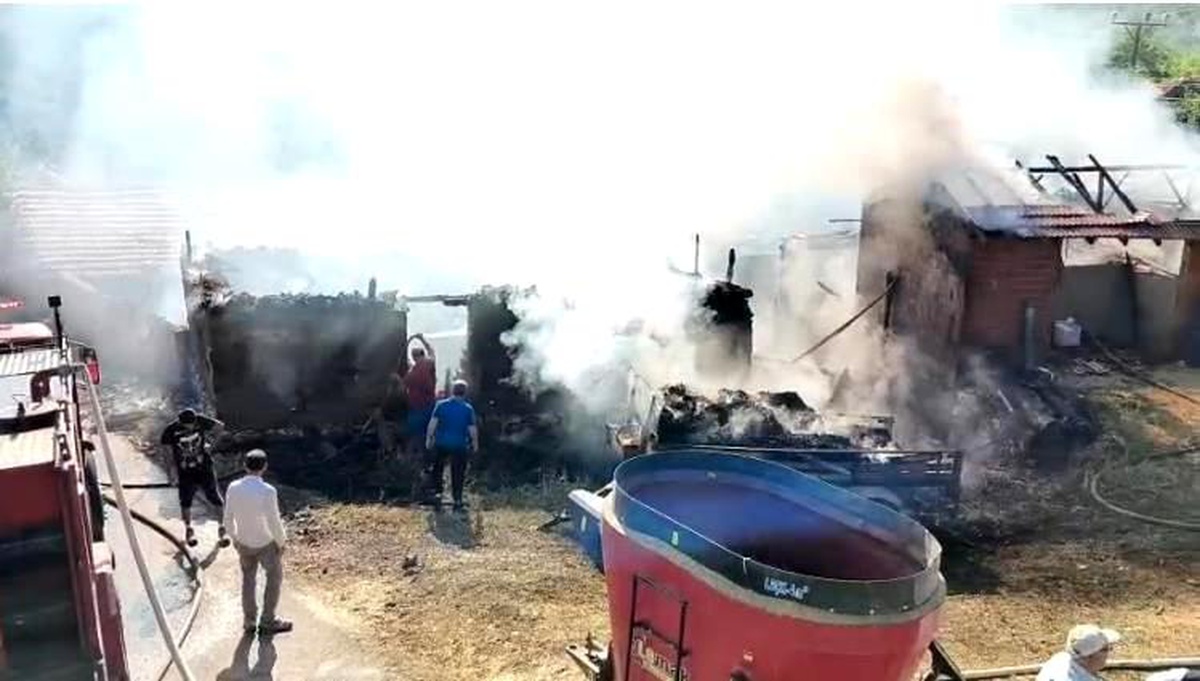 Bilecik\'te Samanlık Yangını: Bir Kişi Yaralandı