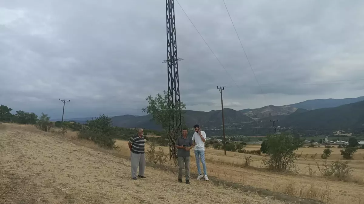 Kastamonu\'da Anız Yangını: 3 Dönüm Zarar Gördü