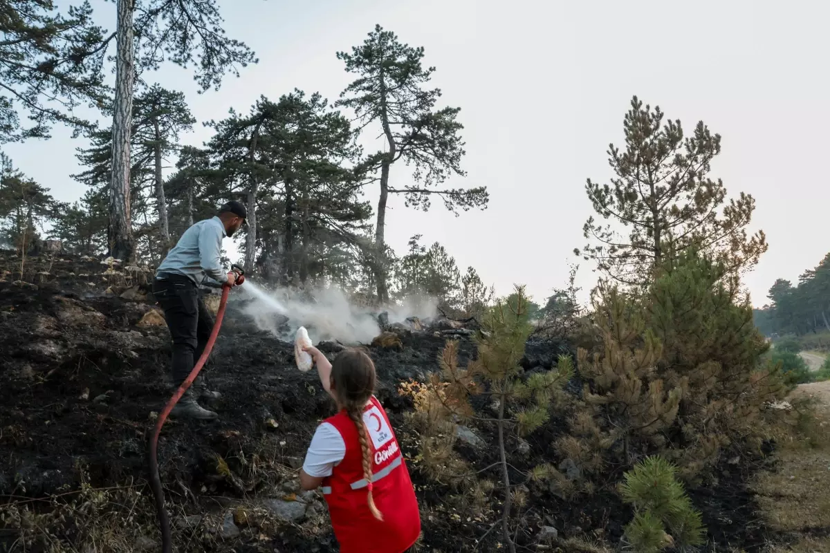 Türk Kızılay yangın bölgelerinde aktif