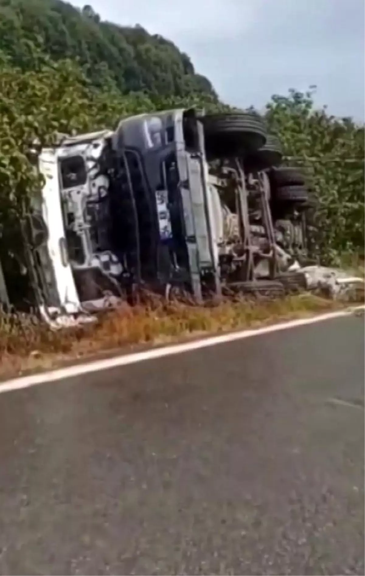 Sakarya\'da Beton Mikseri Fındık Tarlasına Devrildi