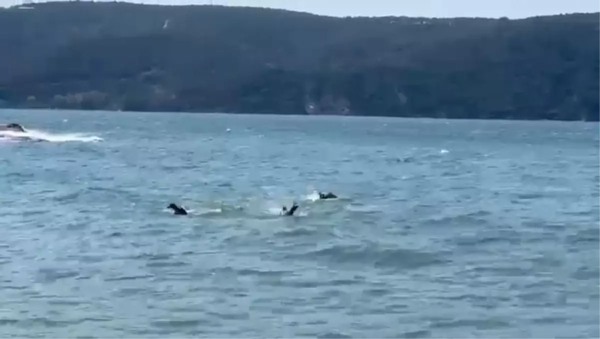 Beykoz\'da tekne alabora oldu: 3 kişi kurtarıldı, 1 kişi hayatını kaybetti