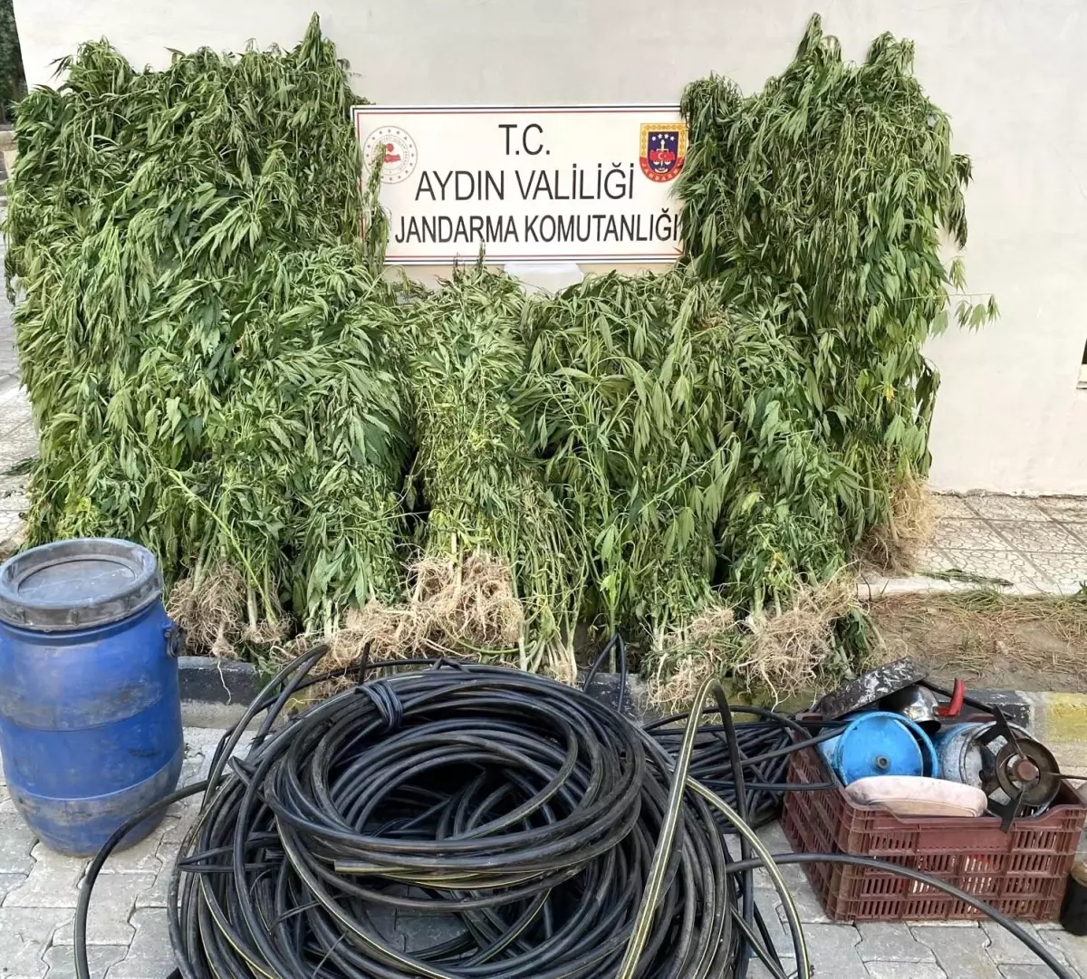 Aydın\'da Uyuşturucu Operasyonu: 17 Gözaltı
