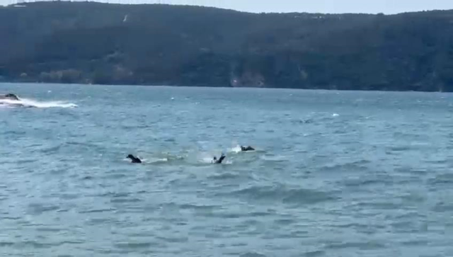 Beykoz'da Tekne Alabora oldu, Bir Kişi Hayatını Kaybetti