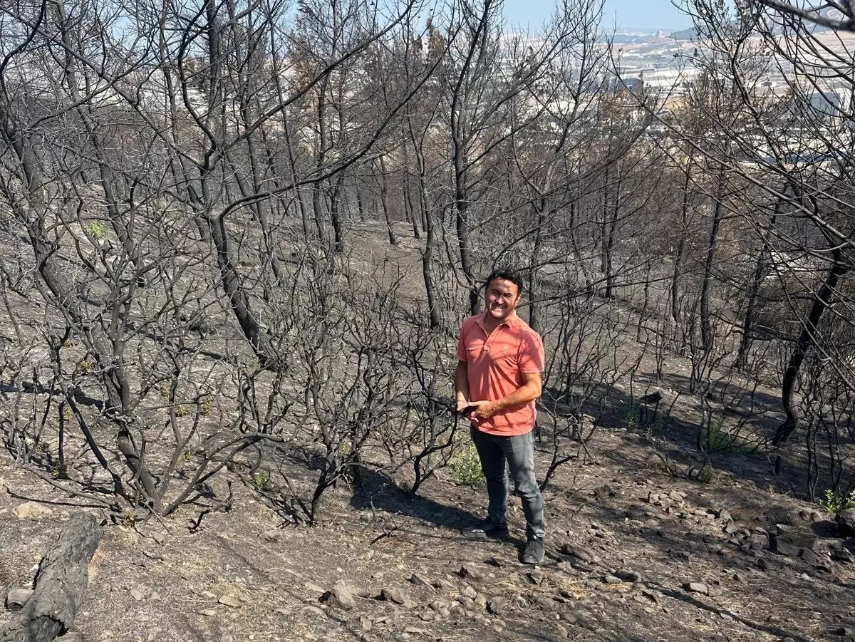 Yangınlar ve Kök Yanması