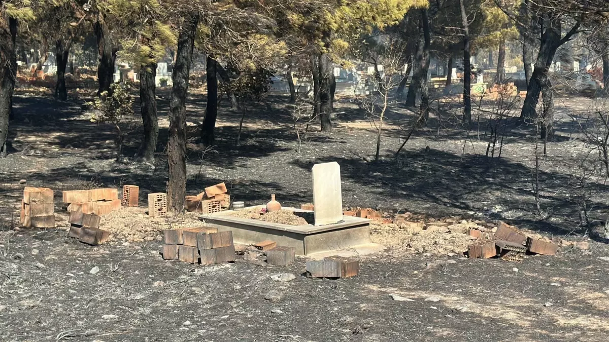 Çanakkale\'de Orman Yangını: 1400 Hektar Zarar