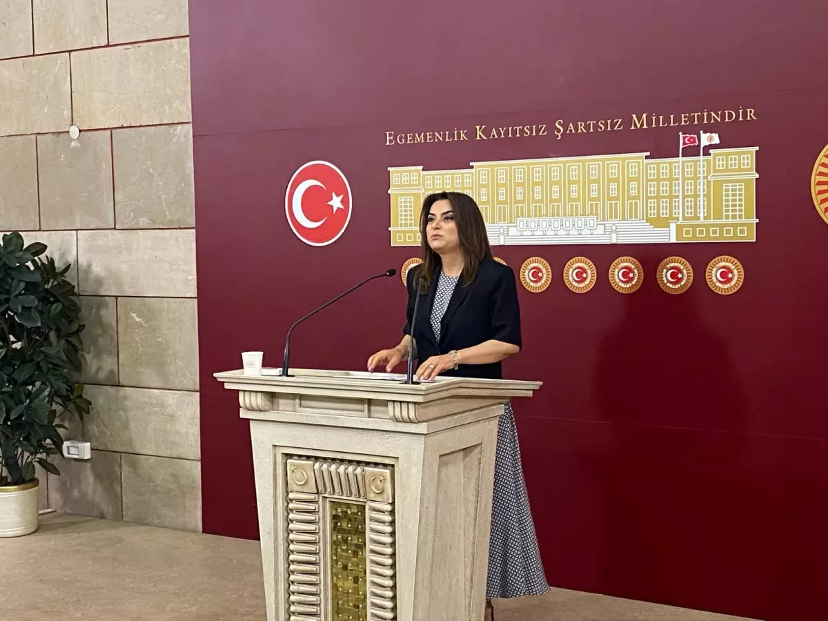 Demokratik Komisyon İsmine Vurgu