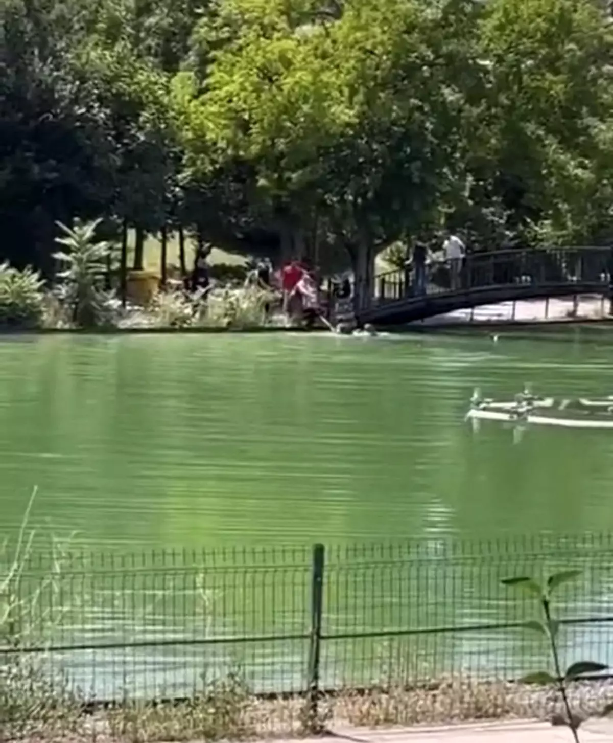 Muş\'ta Çocuk Suya Düştü, Hızla Kurtarıldı