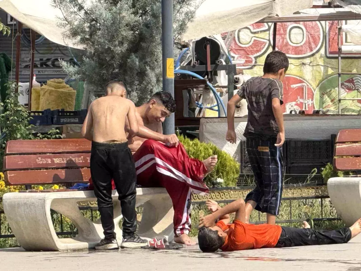 Iğdır\'da Süs Havuzuna Tehlikeli Serinleme