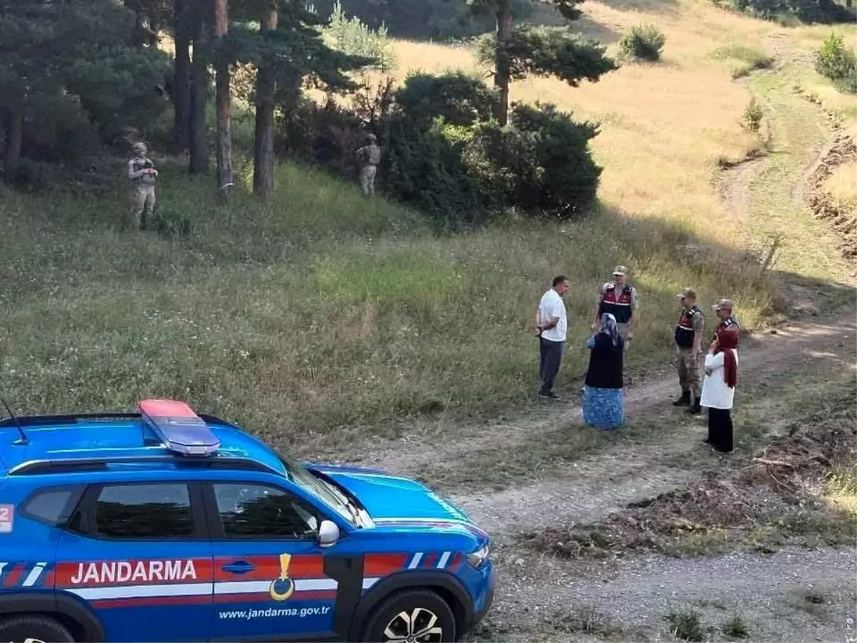 Orman Yangınlarına Karşı Denetimler