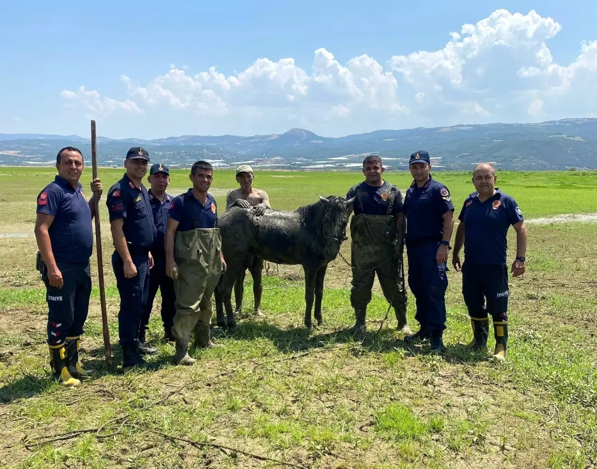 Katır Kurtarma Operasyonu