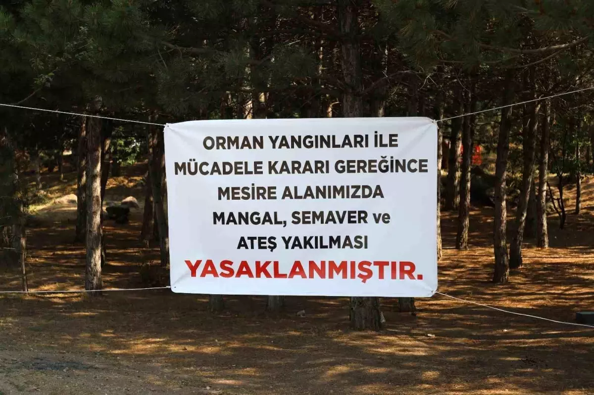 Başkan Palancıoğlu\'ndan mesire alanlarında mangal ve semaver uyarısı