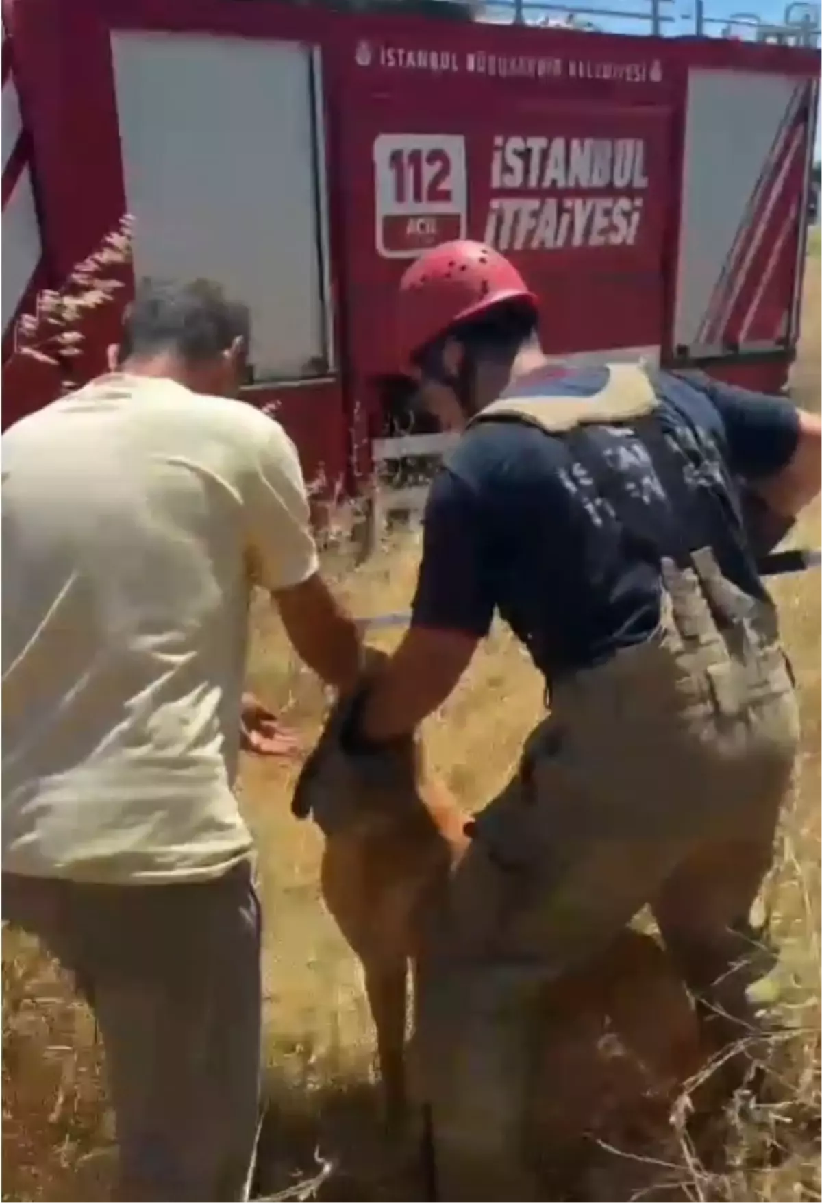 Kuyuya Düşen Köpek Kurtarıldı