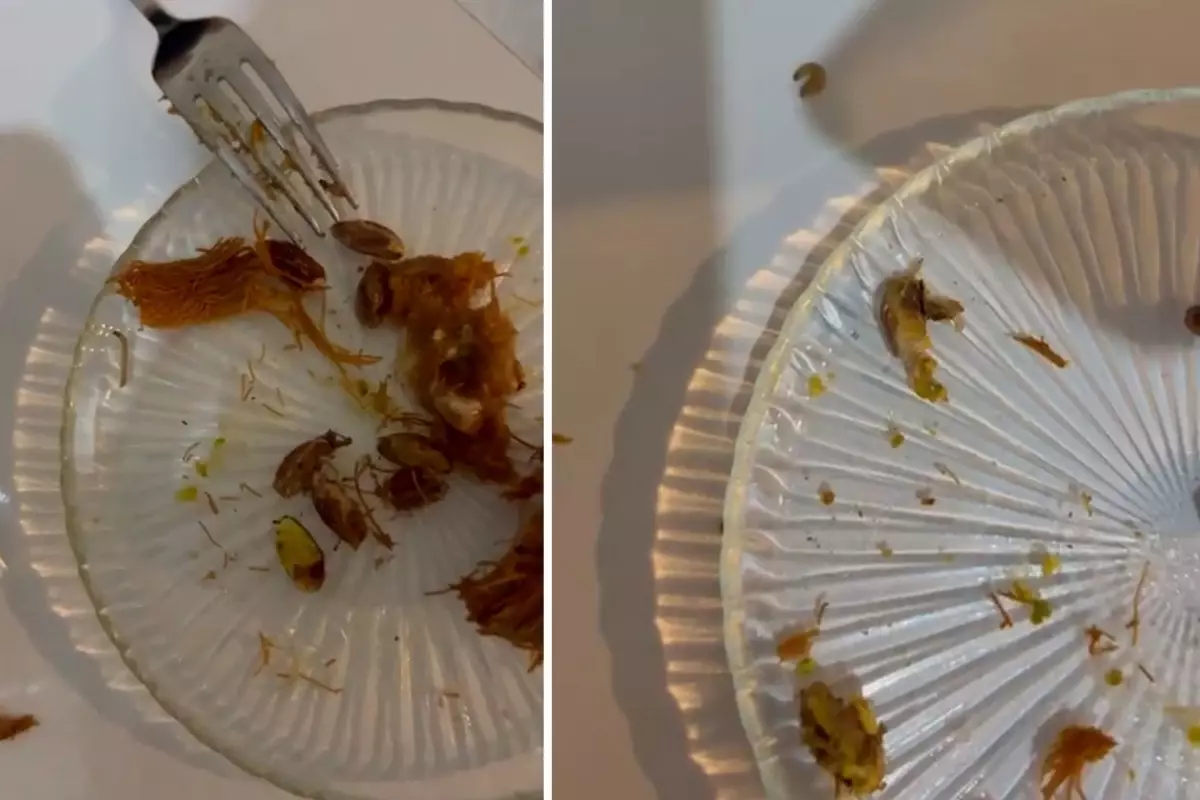 Ünlü şekerleme ve helva zincirinin tatlısından çok sayıda kurt çıktı