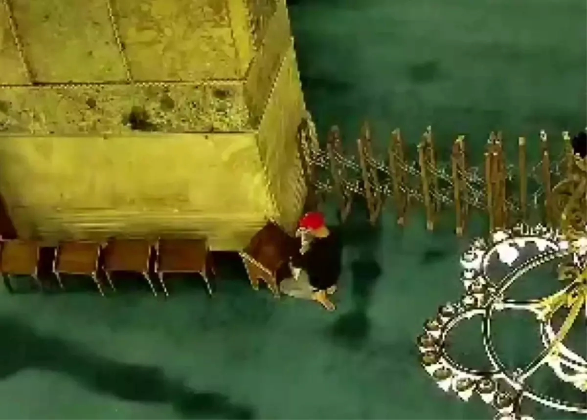 Ayasofya\'da Yangın Çıkardı, Gözaltına Alındı