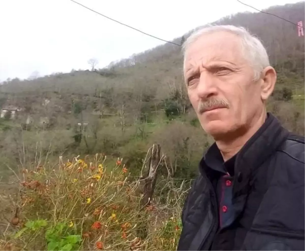 Armut Ağacından Düşen Adam Hayatını Kaybetti