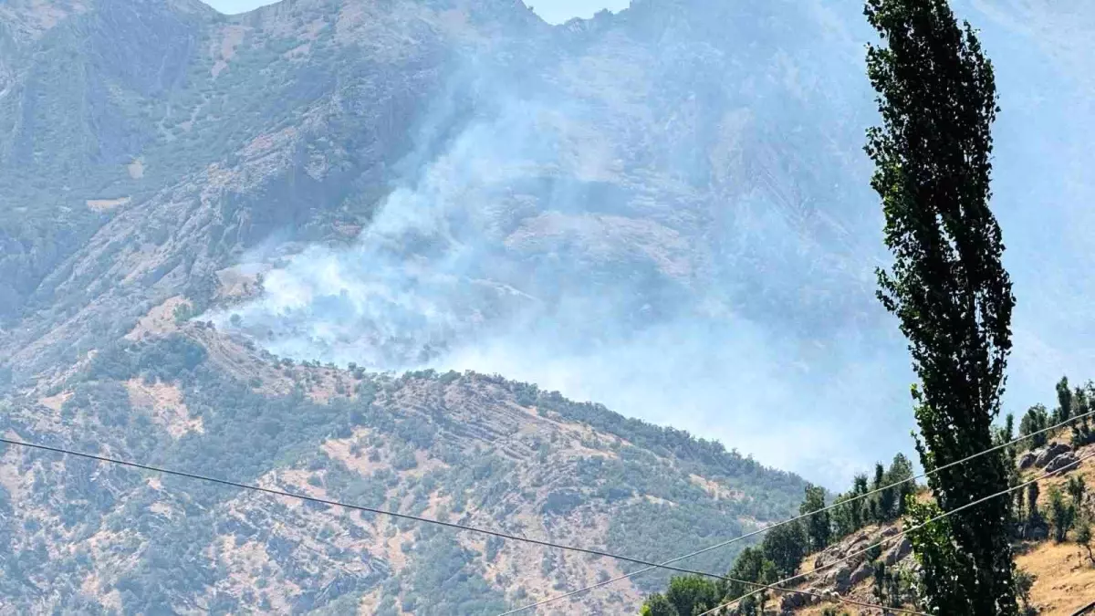 Şırnak\'ta Orman Yangını Kontrole Alınamadı
