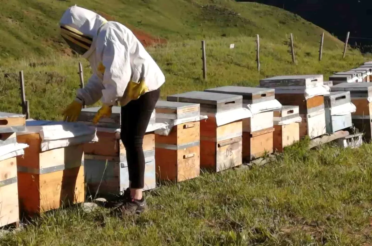 Tunceli\'de Bal Fiyatları Açıklandı