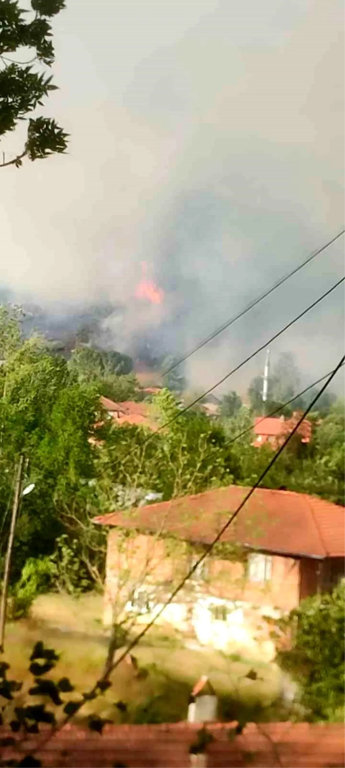 Bartın\'da Orman Yangını