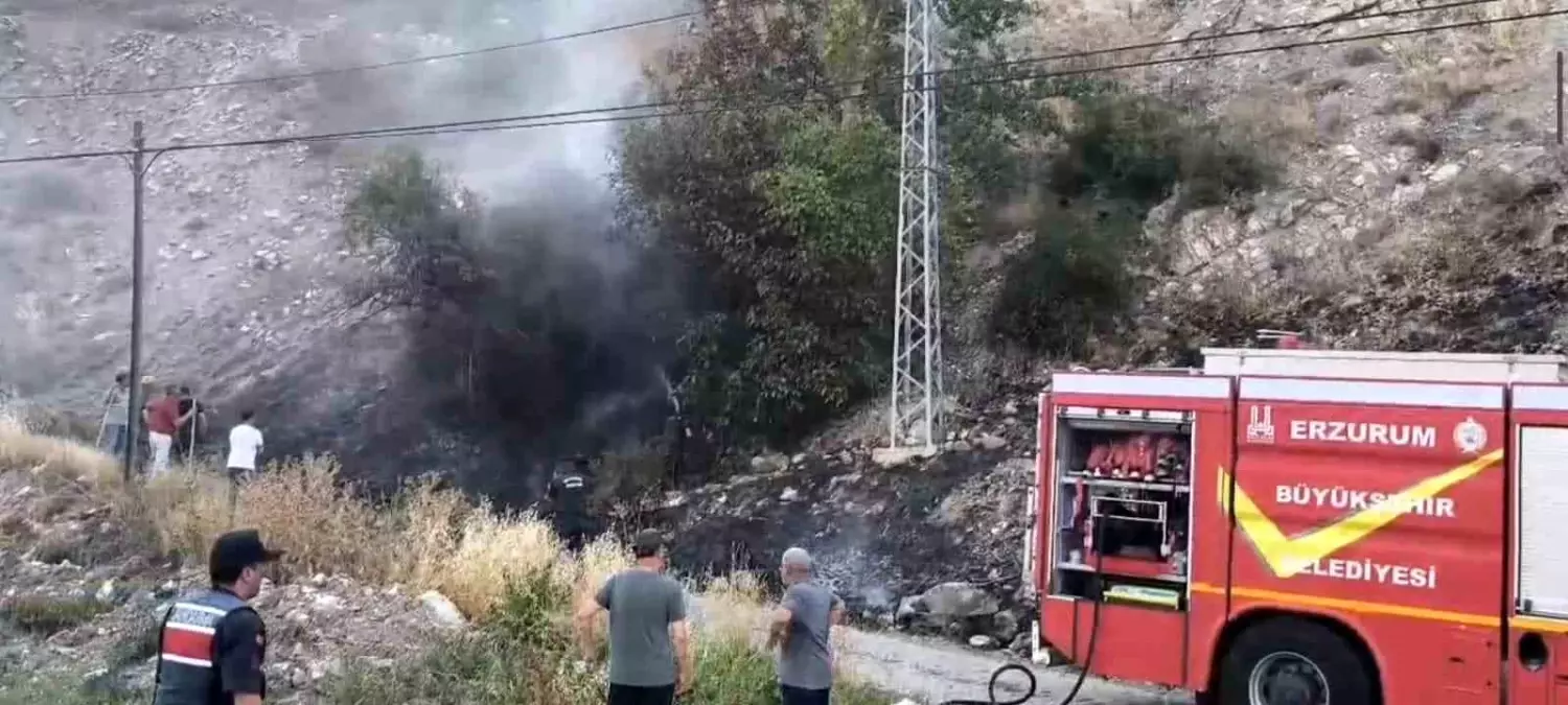 Balıklı Mahallesi\'nde Yangın Panik Yarattı