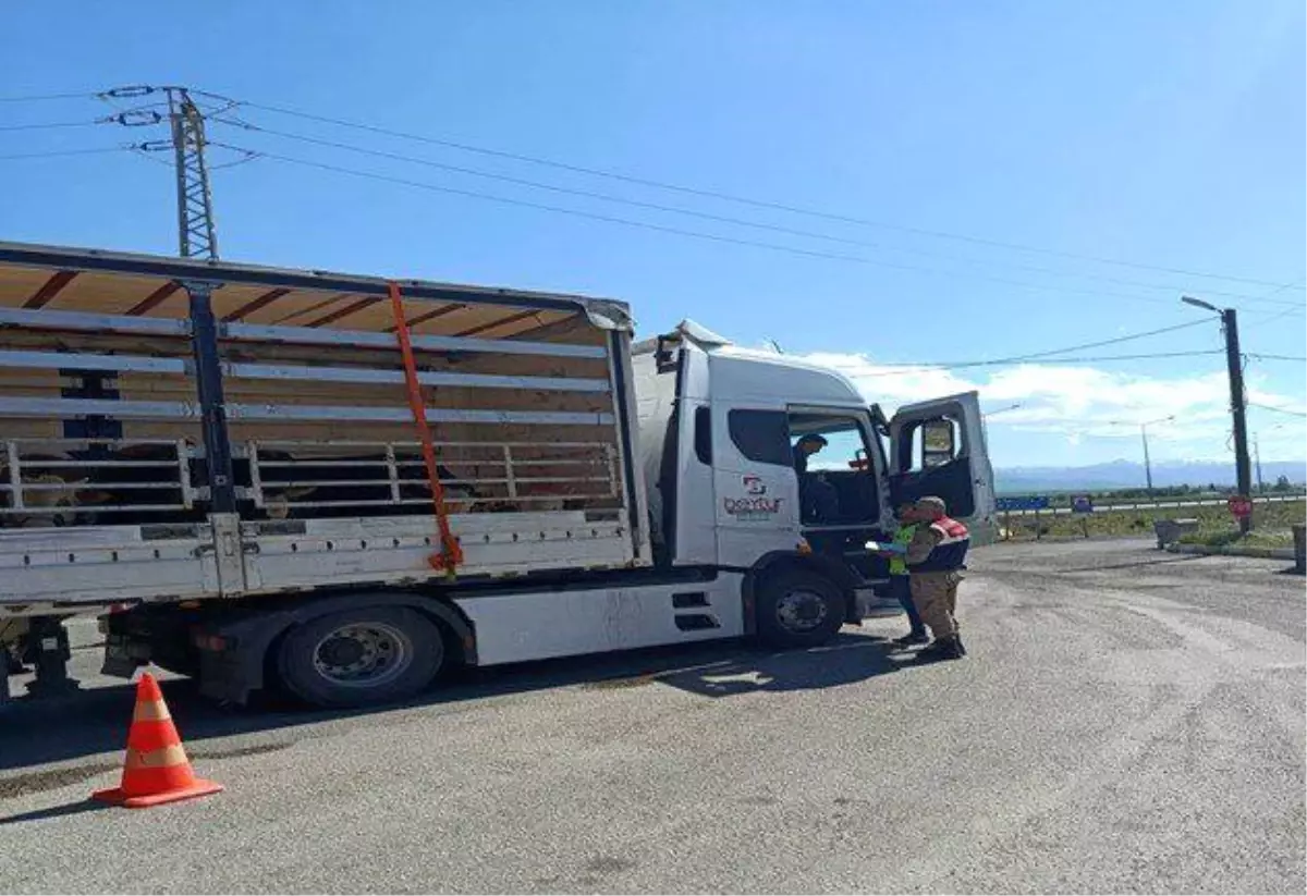 Erzurum\'da Düzensiz Göçmen Operasyonu