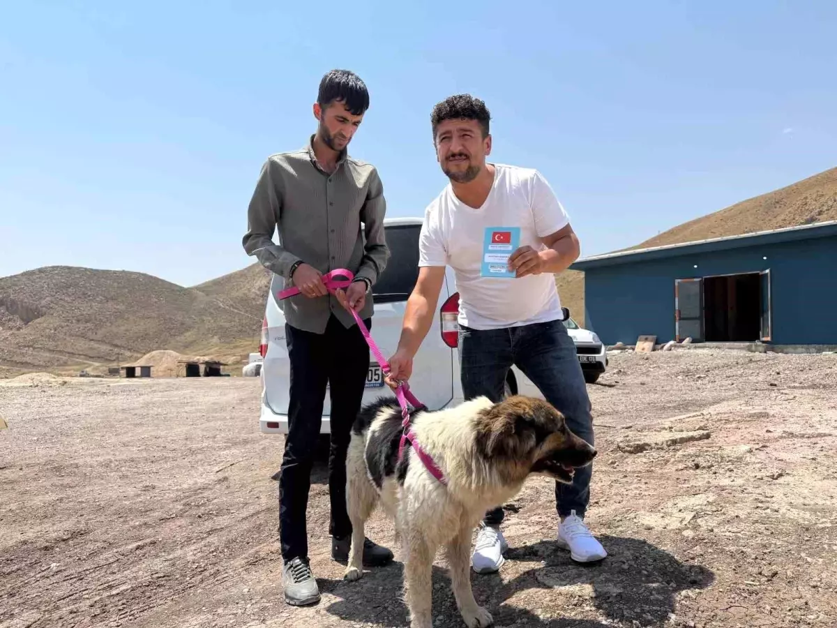 Sadık Köpek Sanatçıya Teslim Edildi