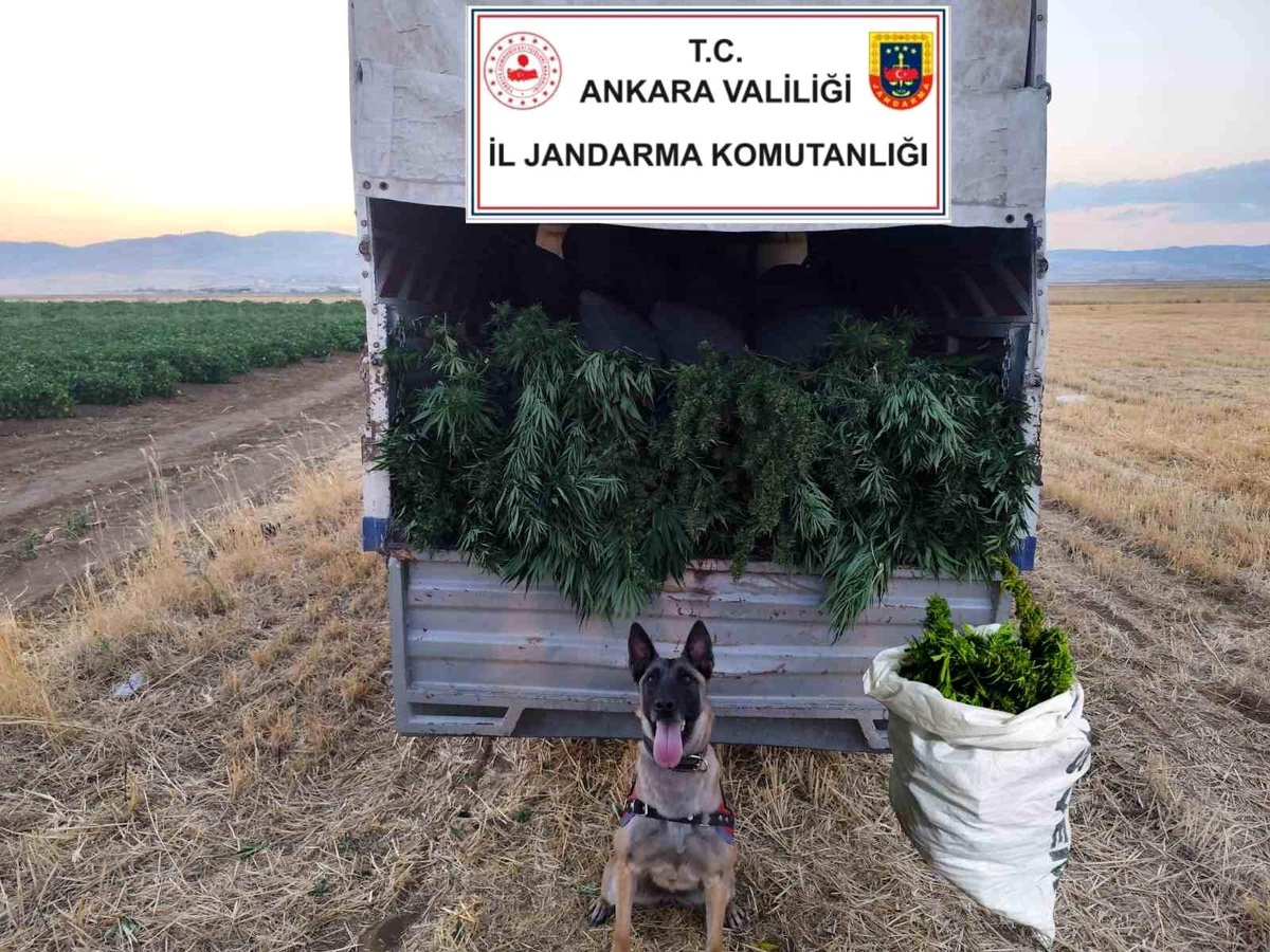 Ankara\'da Uyuşturucu Operasyonu
