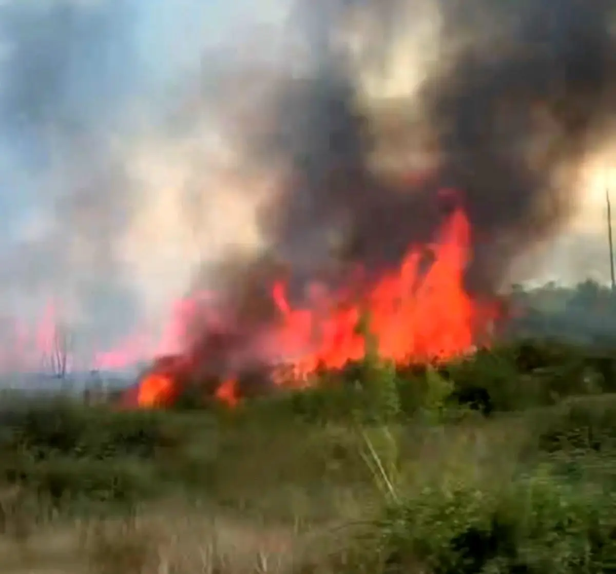 Düzce\'de Yangın: 3 Dönüm Alan Zarar Gördü