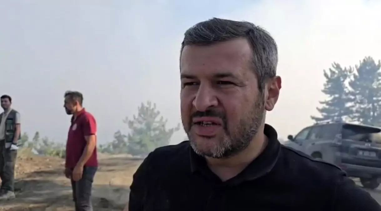 Karabük\'teki Orman Yangınıyla İlgili Açıklama