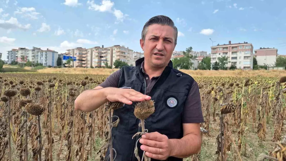 Çiftçi Hakları İçin Mücadele