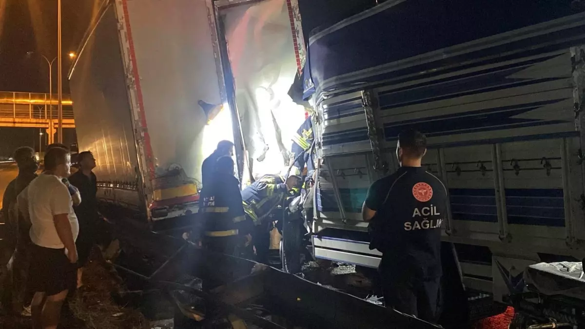 Kocaeli\'de Trafik Kazası: Genç Şoför Hayatını Kaybetti