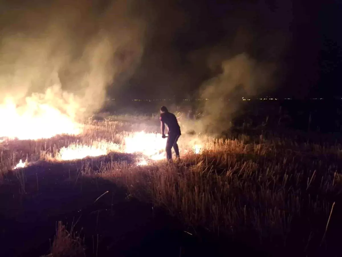 Körpeağaç\'ta Anız Yangını Panik Yarattı