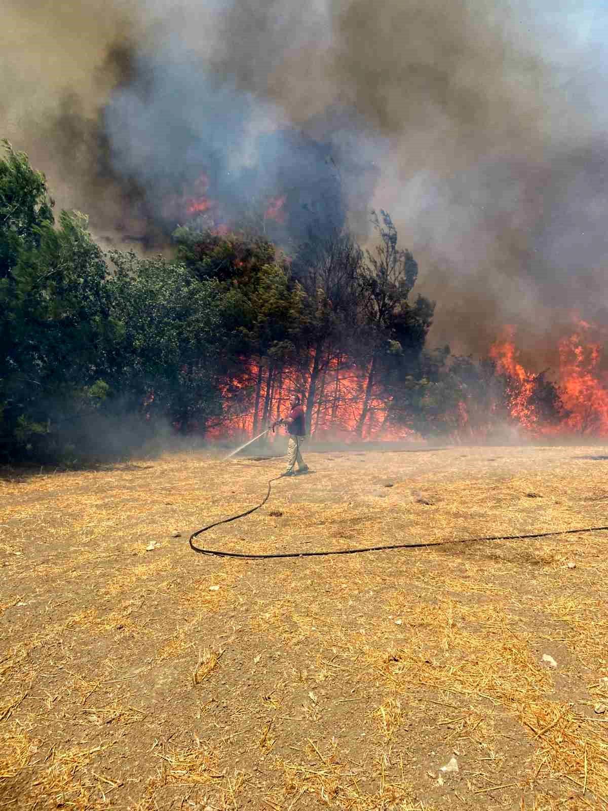 Çanakkale\'de Orman Yangını