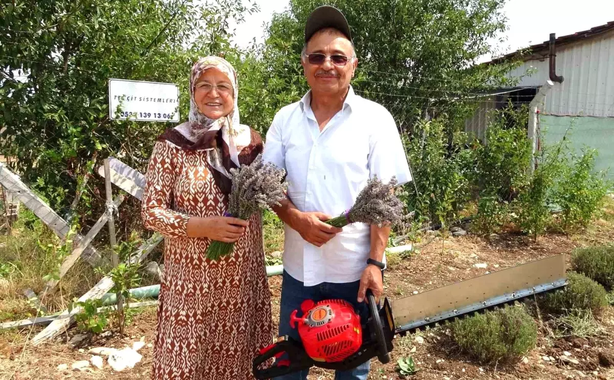 Kütahya\'da Hobi Olarak Başlayan Lavanta Üretimi Gelir Kapısı Oldu