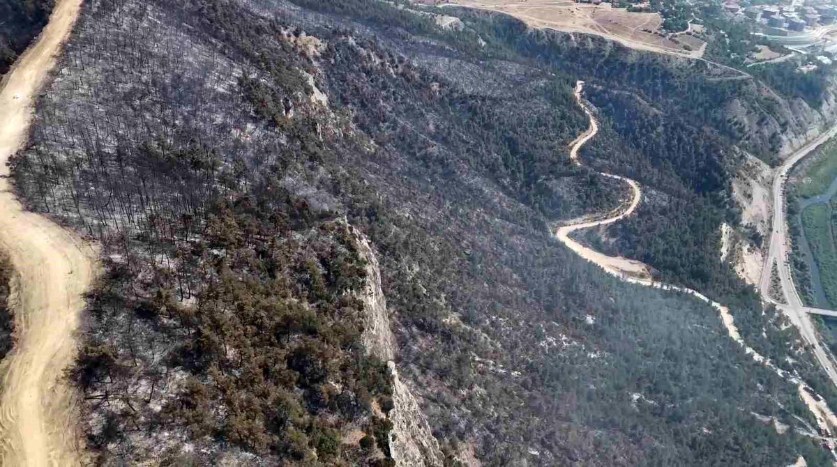 Karabük\'te Orman Yangını Kontrol Altına Alındı