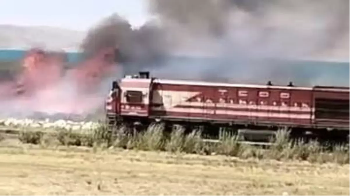 Van\'da Erçek Gölü Kıyısında Yangın Çıktı