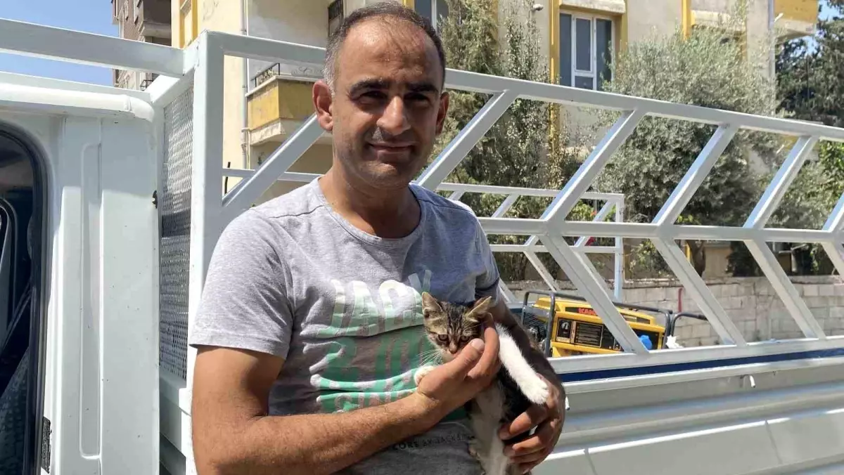 Kedi, Ağaçta Mahsur Kalınca Kurtarıldı