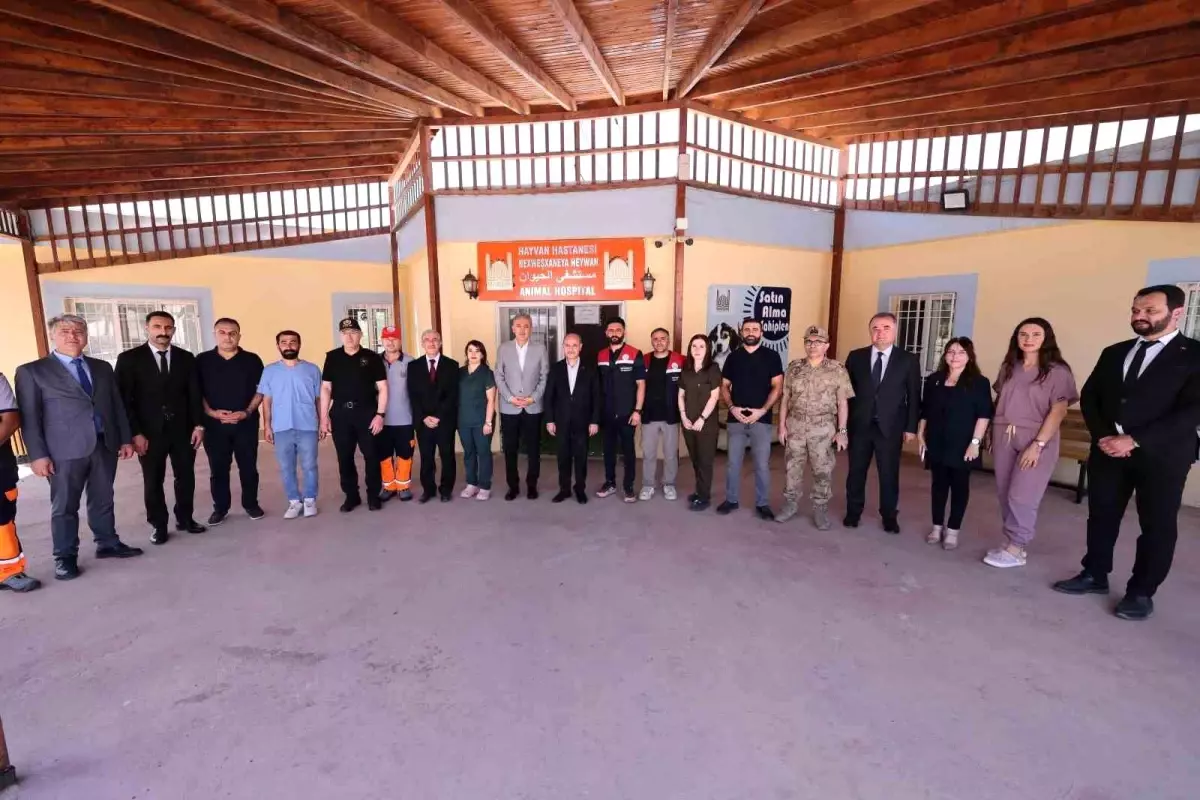 Mardin\'de Sahipsiz Hayvanlar İçin Modern Bakımevi