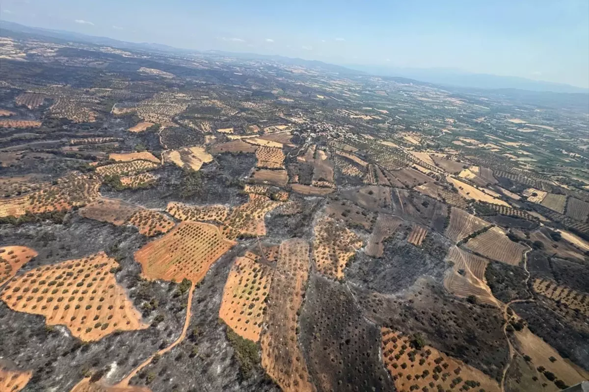 Bakan Yumaklı: Çanakkale\'deki orman yangınları kontrol altına alındı